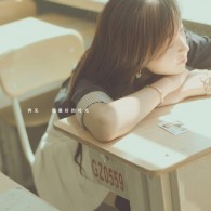 wpsݼ